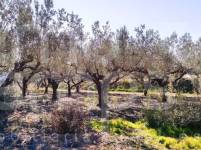 For sale - Country House - Agullent