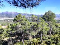 For sale - Finca - Alcoy