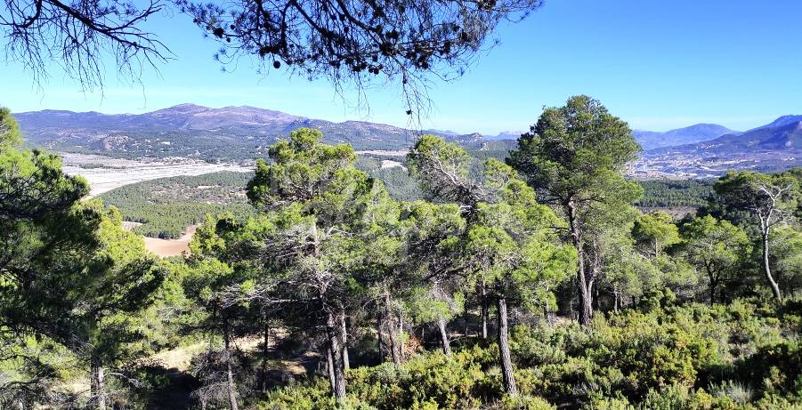 For sale - Finca - Alcoy