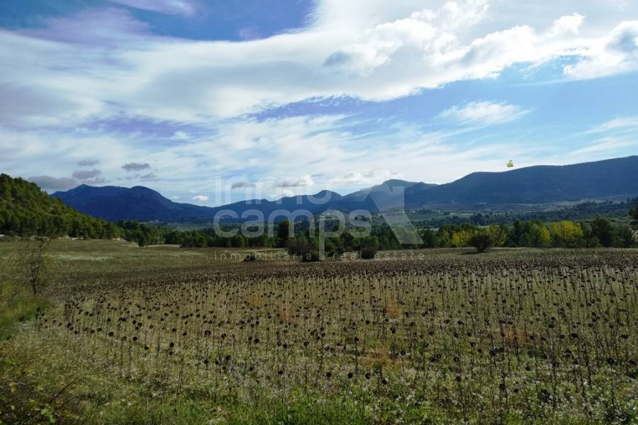 Venta - Finca - Benilloba