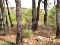 Venta - Finca - Alcoy