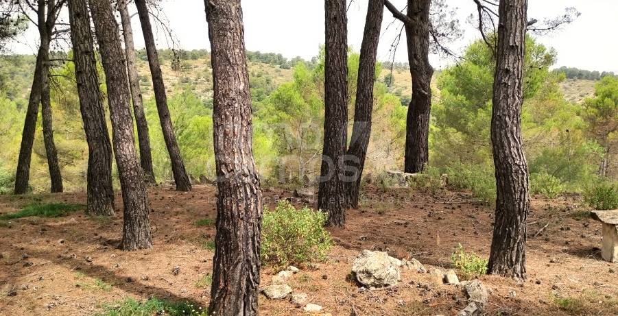 Venta - Finca - Alcoy