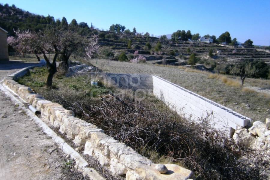 Venta - Casa de Campo - Benilloba