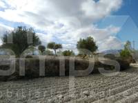 For sale - Rustic Land - Benillup