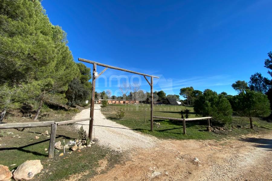 Venta - Finca - Bocairent