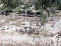 Venta - Casa de Campo - Gorga