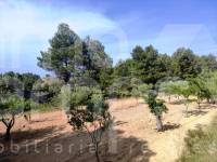 Venta - Casa de Campo - Penáguila