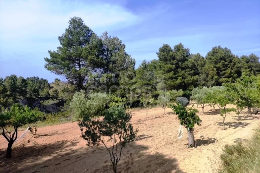 Venta - Casa de Campo - Penáguila