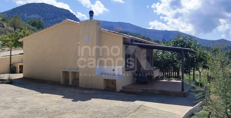 Te koop - Landhuis - Benasau