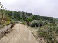 Venta - Casa de Campo - Vall de Gallinera - Alpatró