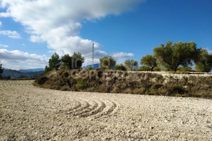 For sale - Rustic Land - Benillup