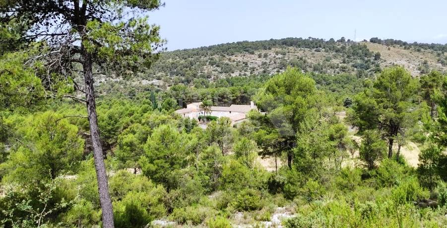 Venta - Finca - Alcoy