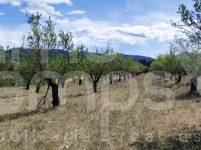 For sale - Rustic Land - Penáguila