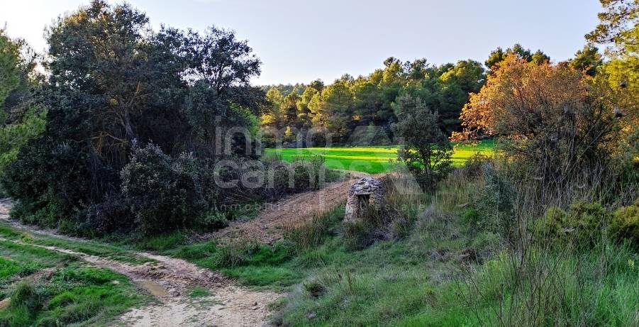 For sale - Finca - Bocairent