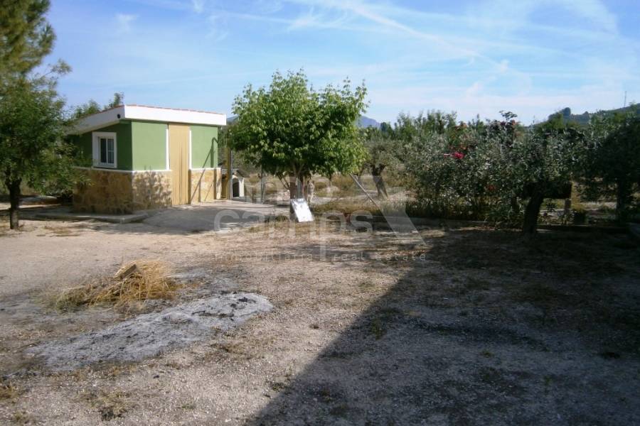 Te koop - Landhuis - Cocentaina