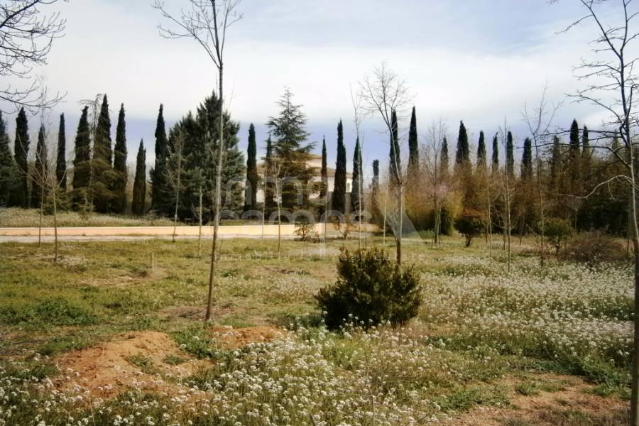 For sale - Country House - Alcocer de Planes