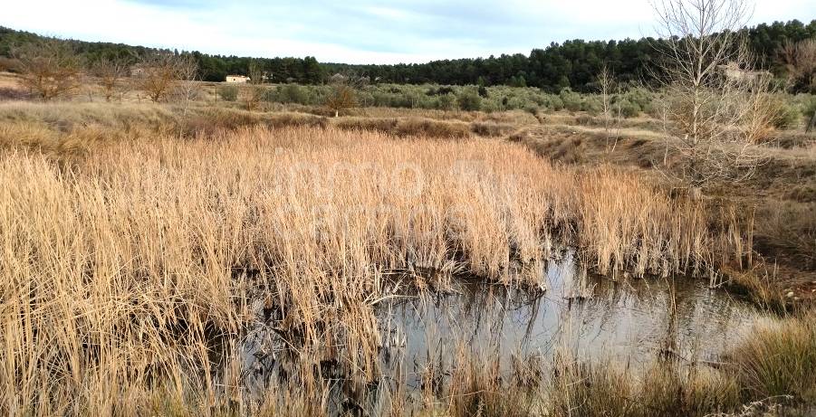 Venta - Finca - Bocairent