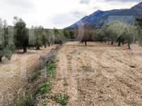 For sale - Rustic Land - Penáguila