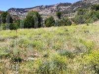 Te koop - Stedelijk perceel - Cocentaina