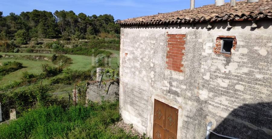 Venta - Finca - Penáguila