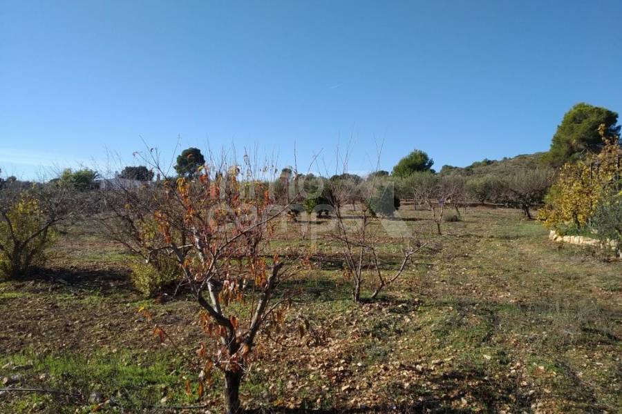 Te koop - Landhuis - Ontinyent