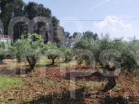 For sale - Finca - Bocairent