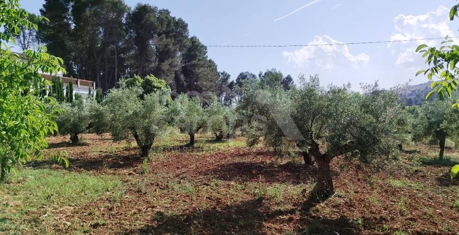 For sale - Finca - Bocairent