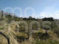 Venta - Casa de Campo - Muro de Alcoy