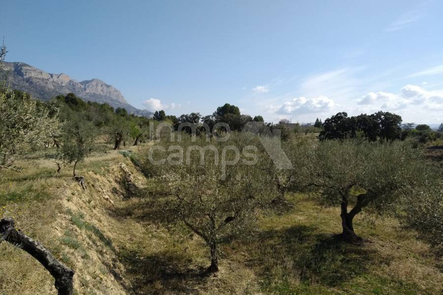 Venta - Casa de Campo - Muro de Alcoy