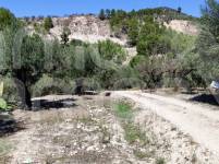 Te koop - Landhuis - Cocentaina