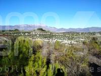 Te koop - Rustiek land - Benillup