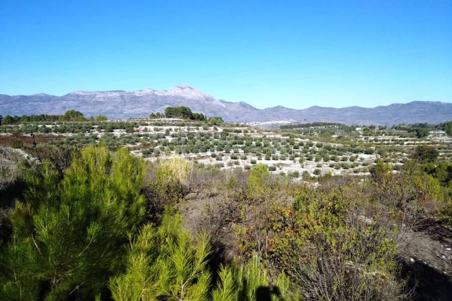 Te koop - Rustiek land - Benillup