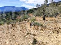 For sale - Country House - Gaianes