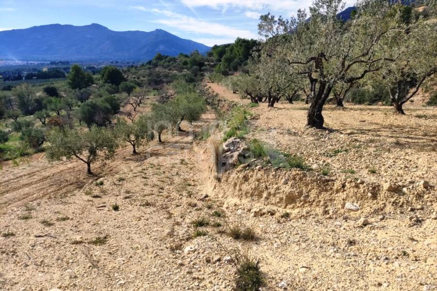 For sale - Country House - Gaianes