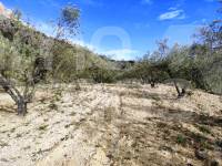 For sale - Country House - Gaianes