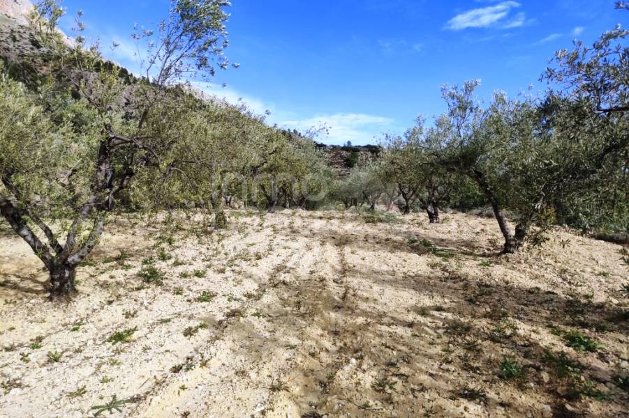 For sale - Country House - Gaianes