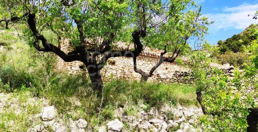 Venta - Finca - Benasau