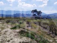 Venta - Finca - Alcocer de Planes