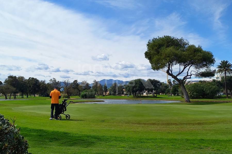 For sale - Villa - Oliva