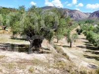 For sale - Finca - Millena