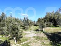 For sale - Finca - Bocairent