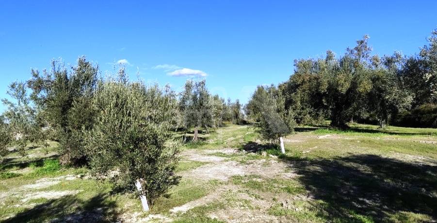 For sale - Finca - Bocairent