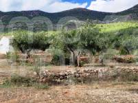 Venta - Casa de Campo - Muro de Alcoy