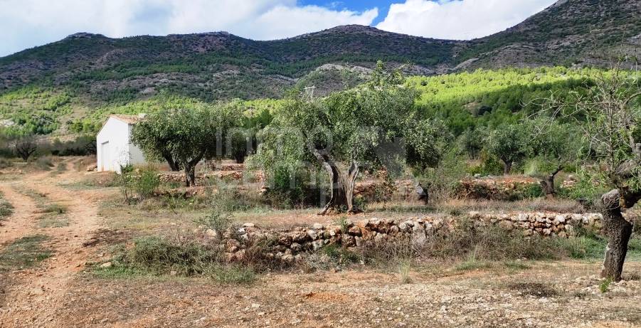 Venta - Casa de Campo - Muro de Alcoy