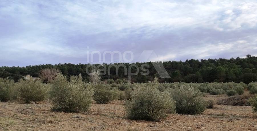 Venta - Finca - Bocairent