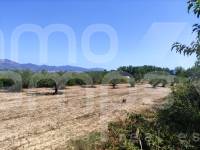 Venta - Casa de Campo - Benimarfull