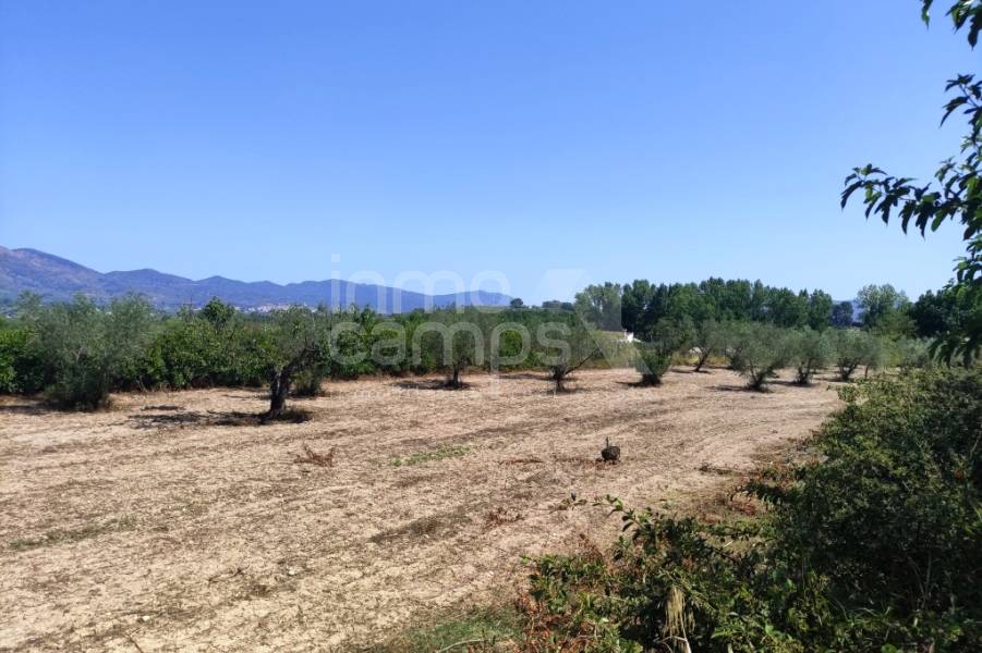 Venta - Casa de Campo - Benimarfull