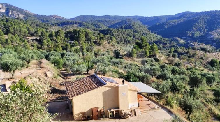 Landhuis - Te koop - Benasau - Benasau