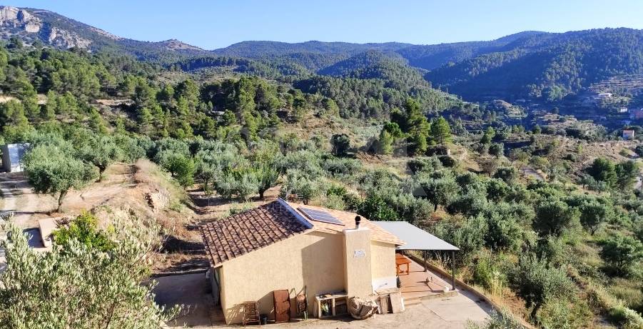 Te koop - Landhuis - Benasau