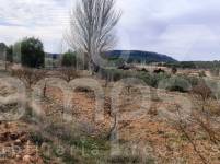 Venta - Finca - Bocairent